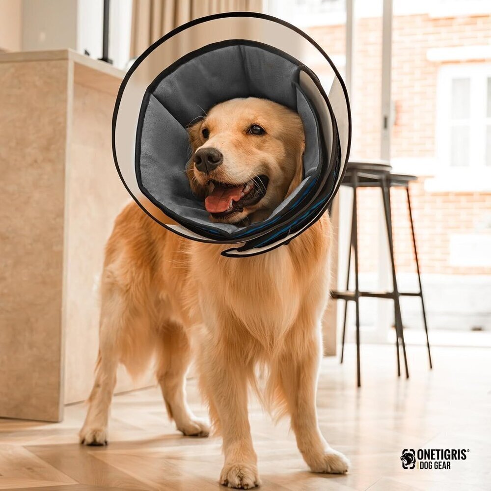 Soft Dog Cone Collar for Dogs After Surgery XL